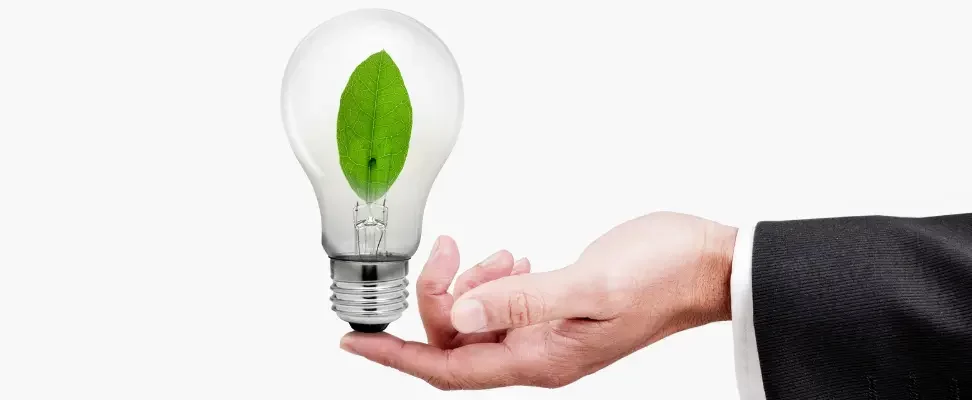 electricite-verte-les-solutions-pour-une-installation-plus-écologique-4 Feuille dans une ampoule tenue par un main. Symbolise l'électricité verte.